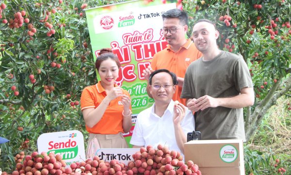 Phó chủ tịch của tỉnh Salese B